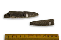 F 05085
<br/>
<br/>
<em></em>